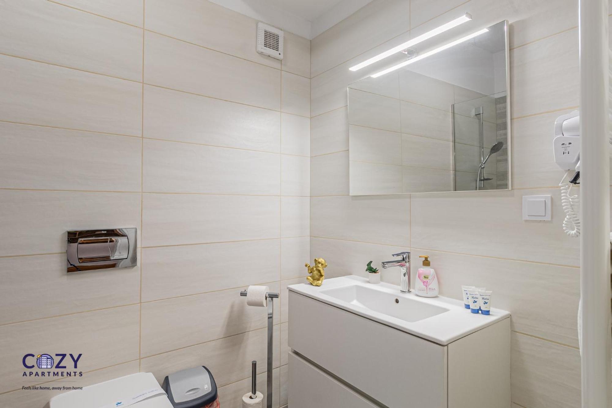 Cozy Collection Studios And Flats - Coresi Mall Брашов Экстерьер фото