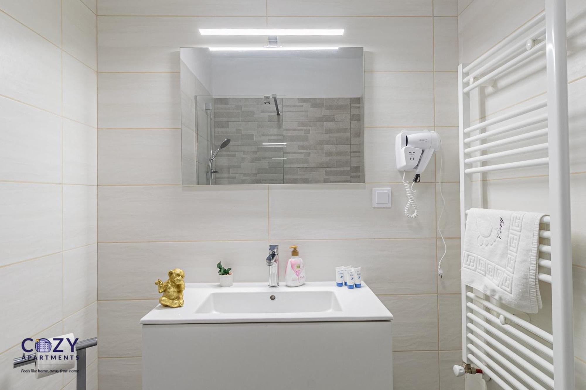 Cozy Collection Studios And Flats - Coresi Mall Брашов Экстерьер фото